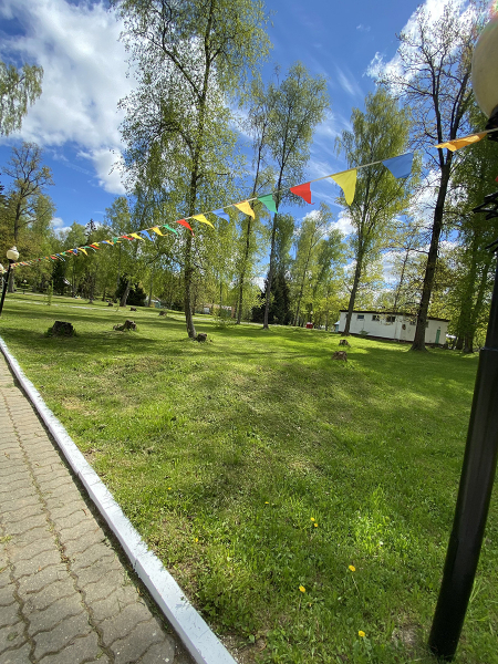 office